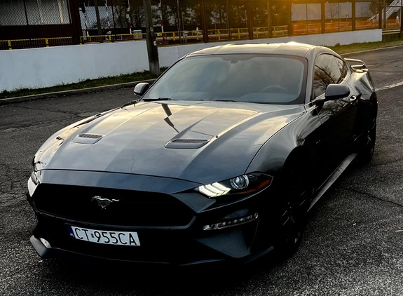 Ford Mustang cena 145000 przebieg: 69000, rok produkcji 2019 z Warszawa małe 436